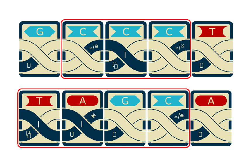 Genes diagram